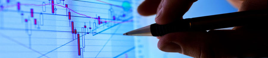 ERP/CRM (Customer Relations Management)